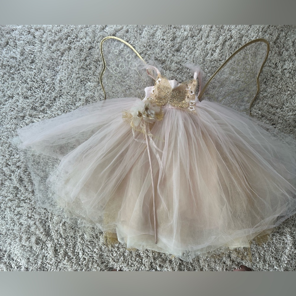 Pottery Barn Kids Pink Butterfly Fairy Kids’ Costume 4-6Y
